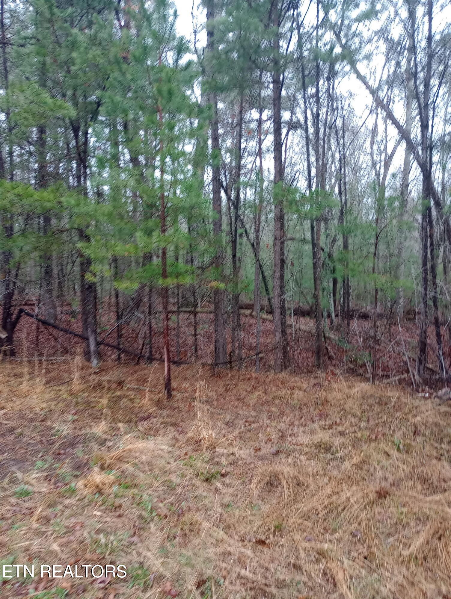 23 Lechmere Court Crossville TN 38558