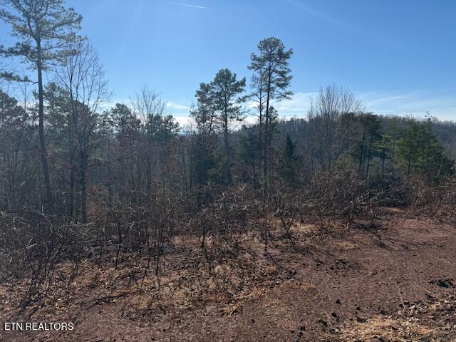 Lot 4 Sweetwater Vonore Road Sweetwater TN 37874