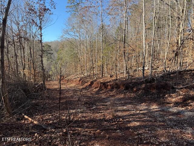 Lot 4 Sweetwater Vonore Road Sweetwater TN 37874