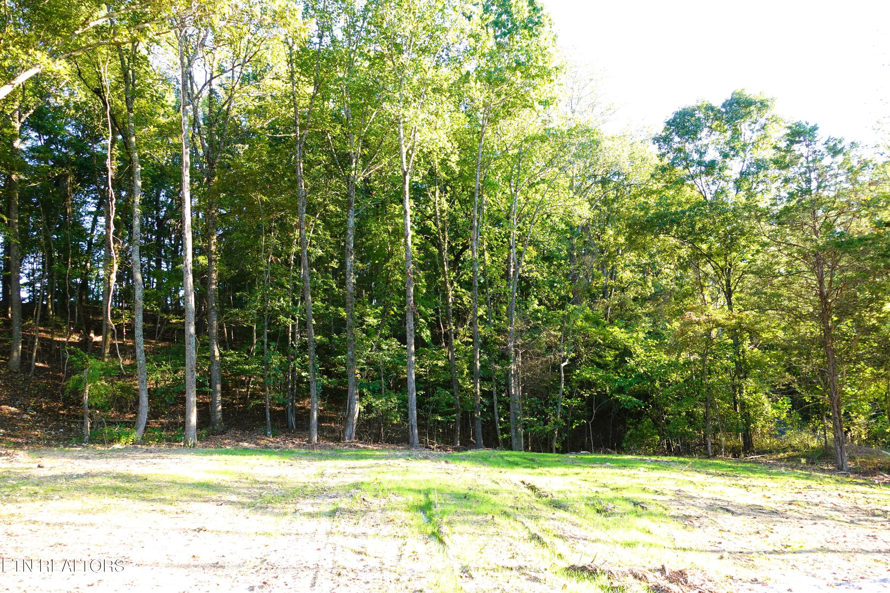 Williams Bend Road Knoxville TN 37932