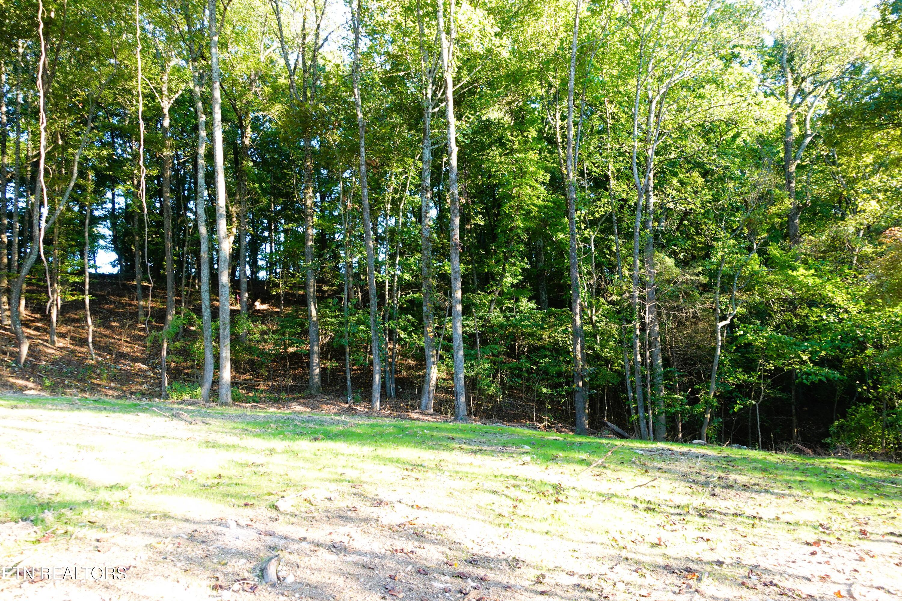 Williams Bend Road Knoxville TN 37932