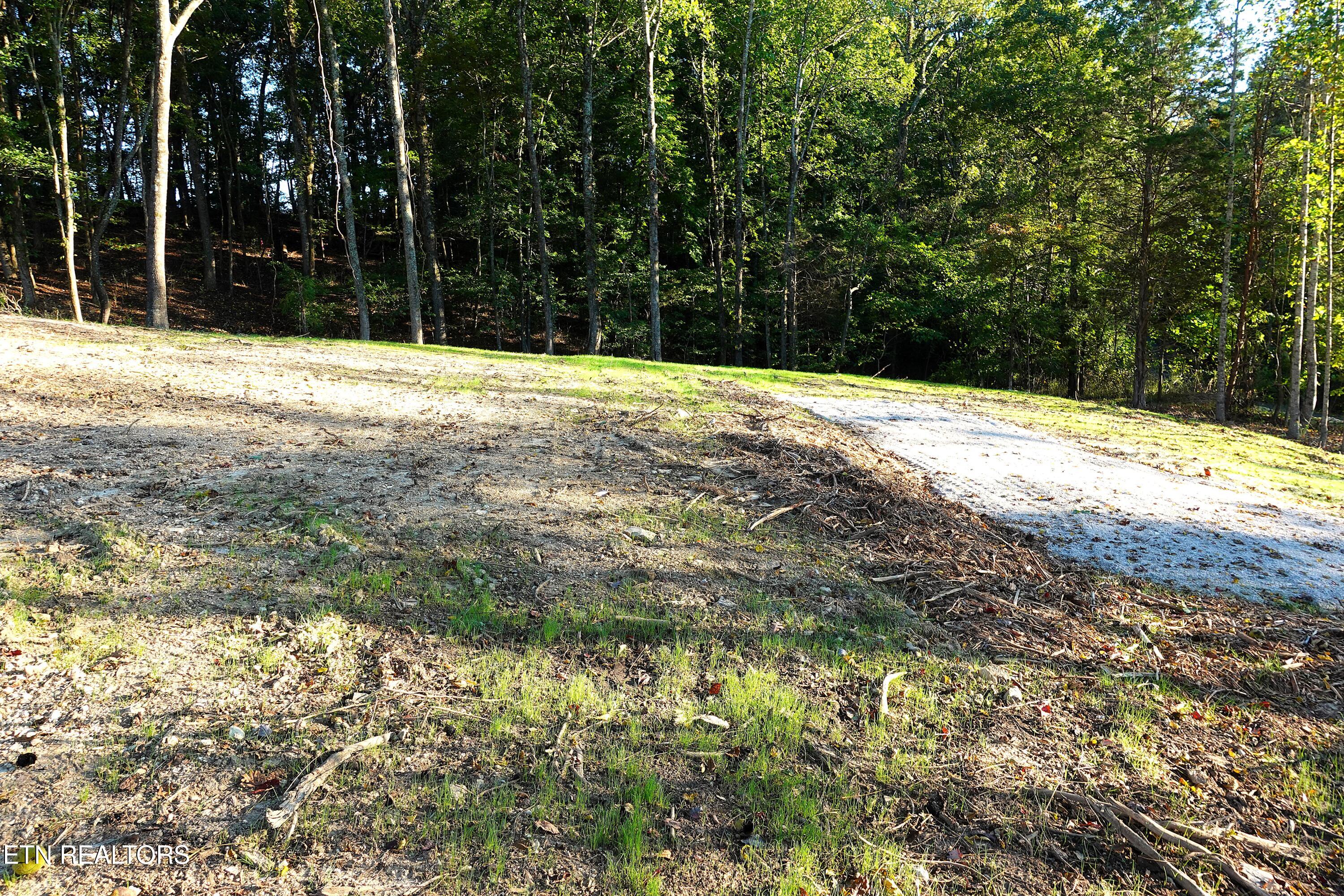 Williams Bend Road Knoxville TN 37932