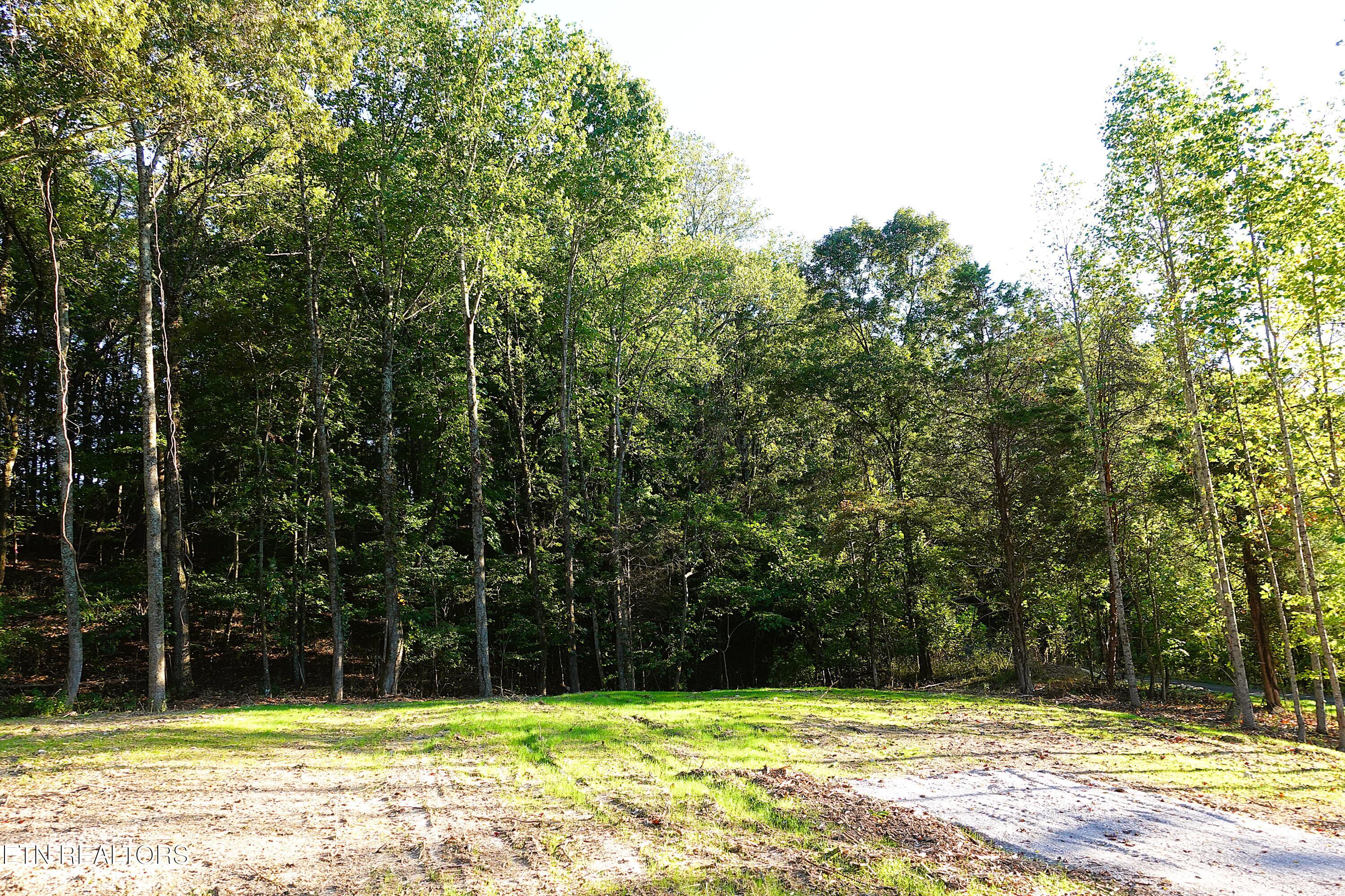 Williams Bend Road Knoxville TN 37932
