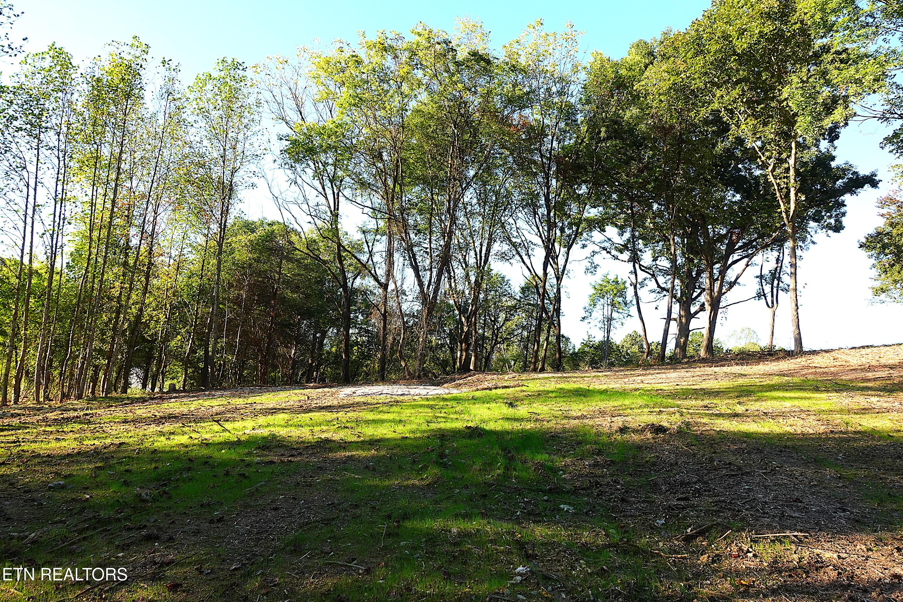 Williams Bend Road Knoxville TN 37932