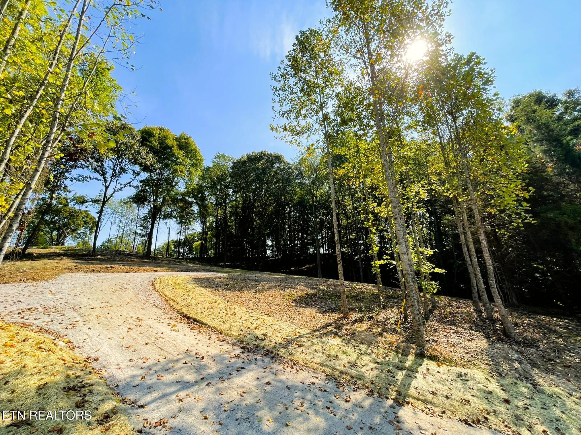 Williams Bend Road Knoxville TN 37932