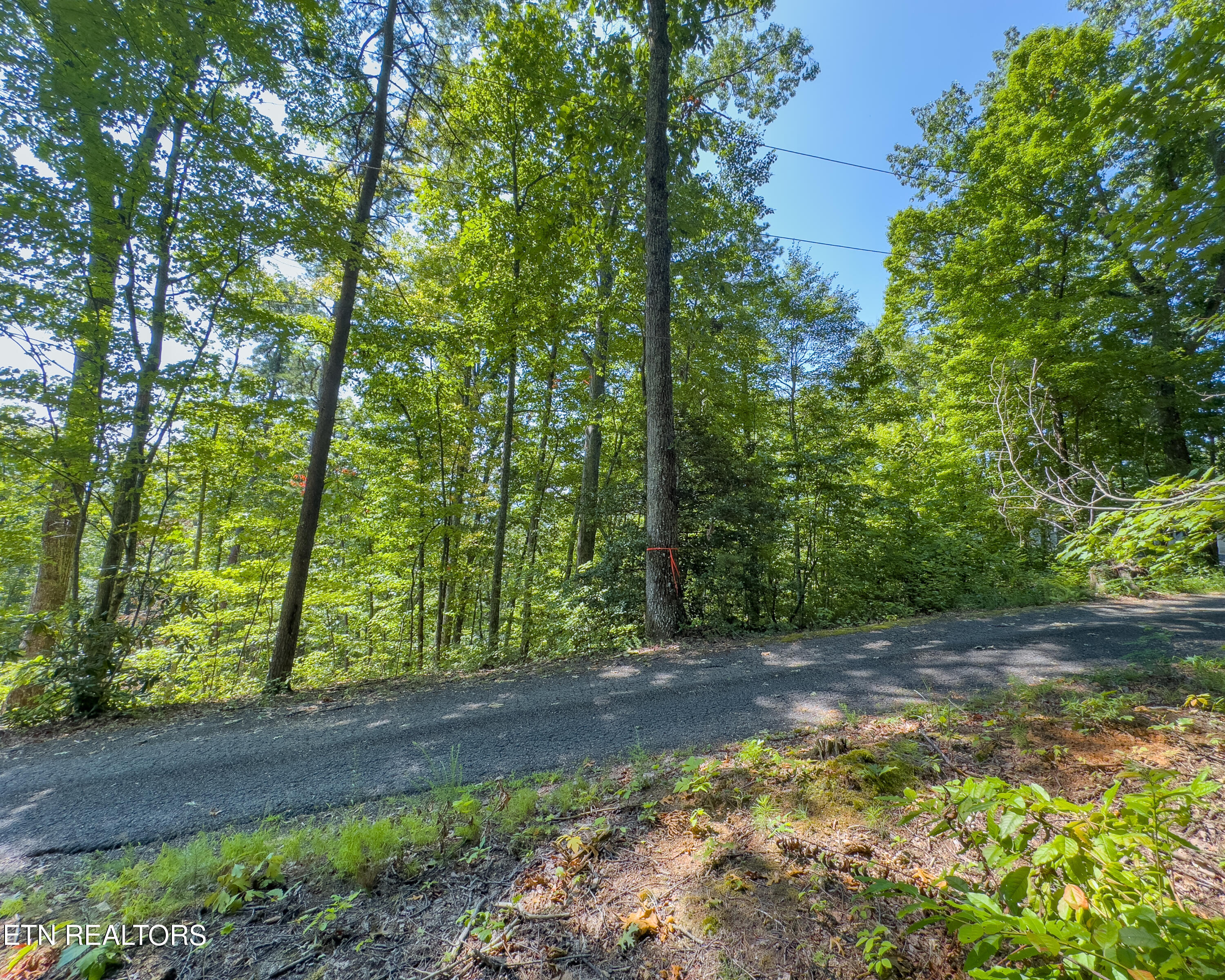 Lot 11 Spring Hill Drive Sevierville TN 37876