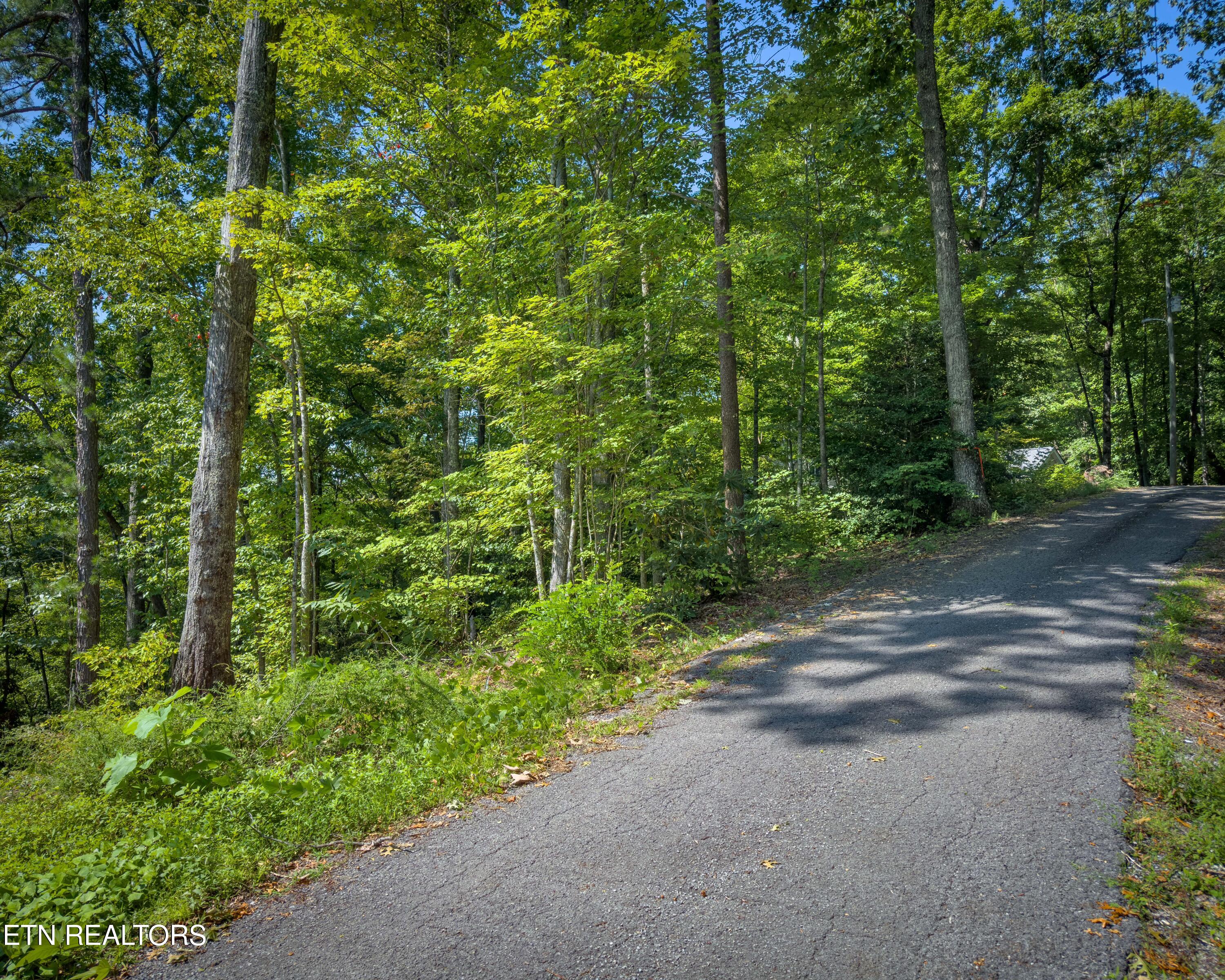 Lot 11 Spring Hill Drive Sevierville TN 37876