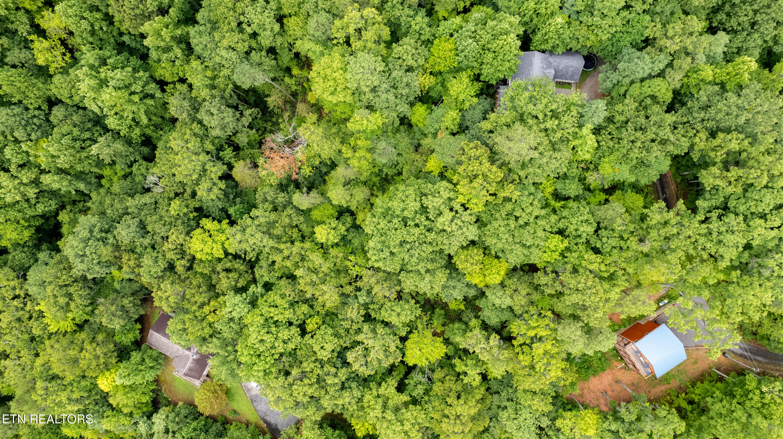 Lot 11 Spring Hill Drive Sevierville TN 37876