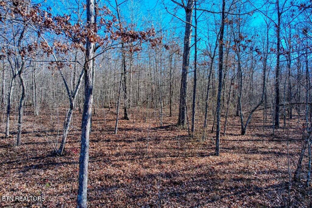 Lot 141 Camp Creek Circle Spencer TN 38585