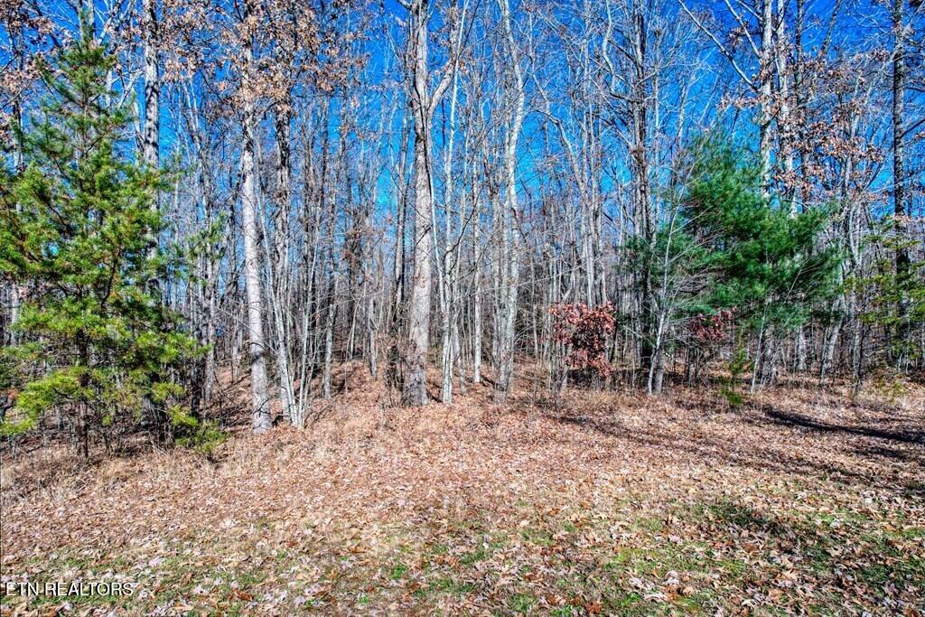 Lot 141 Camp Creek Circle Spencer TN 38585