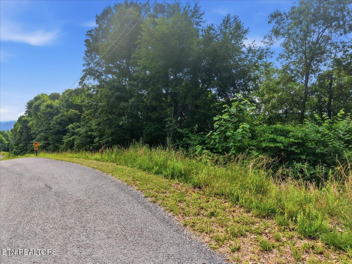 Whistle Valley Road New Tazewell TN 37825