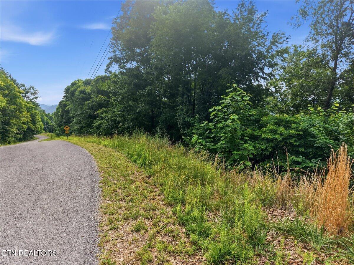 Whistle Valley Road New Tazewell TN 37825