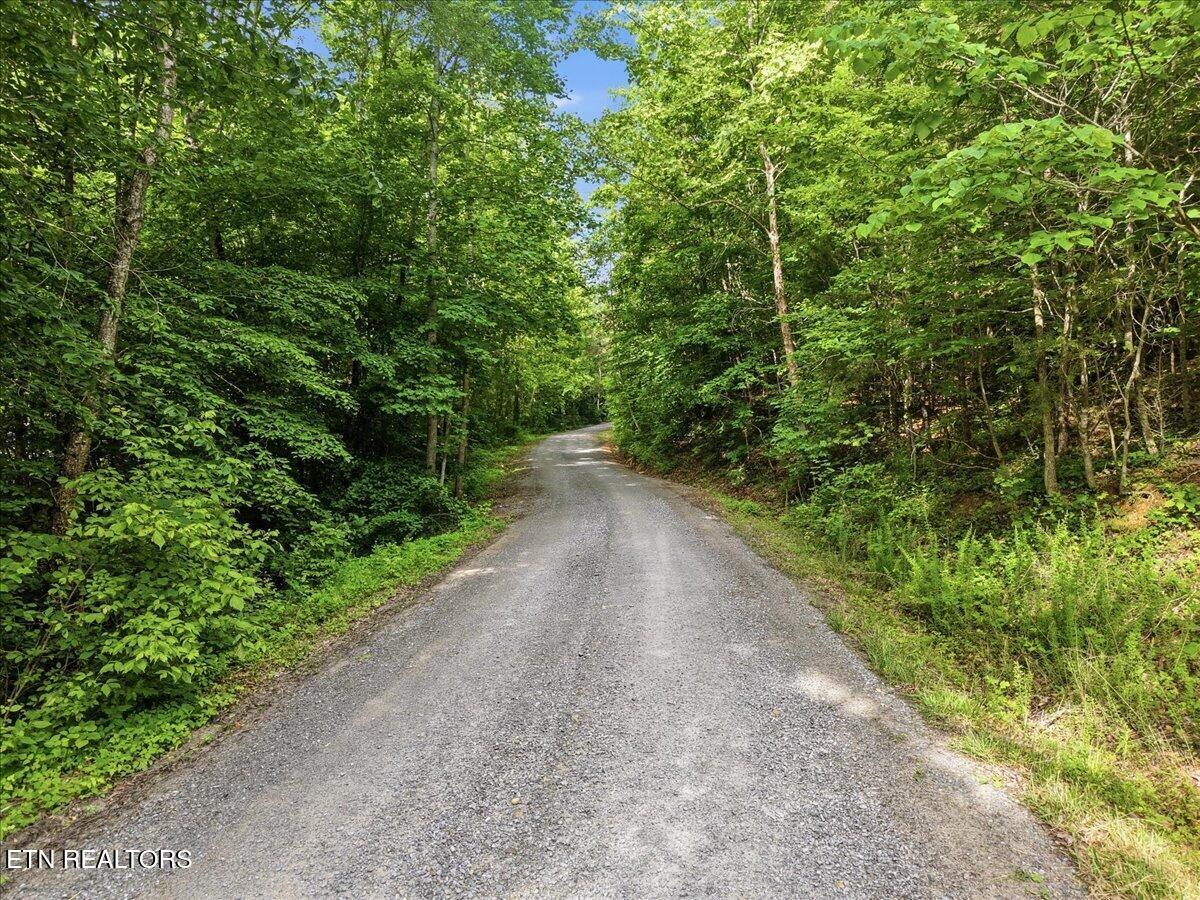 Whistle Valley Road New Tazewell TN 37825