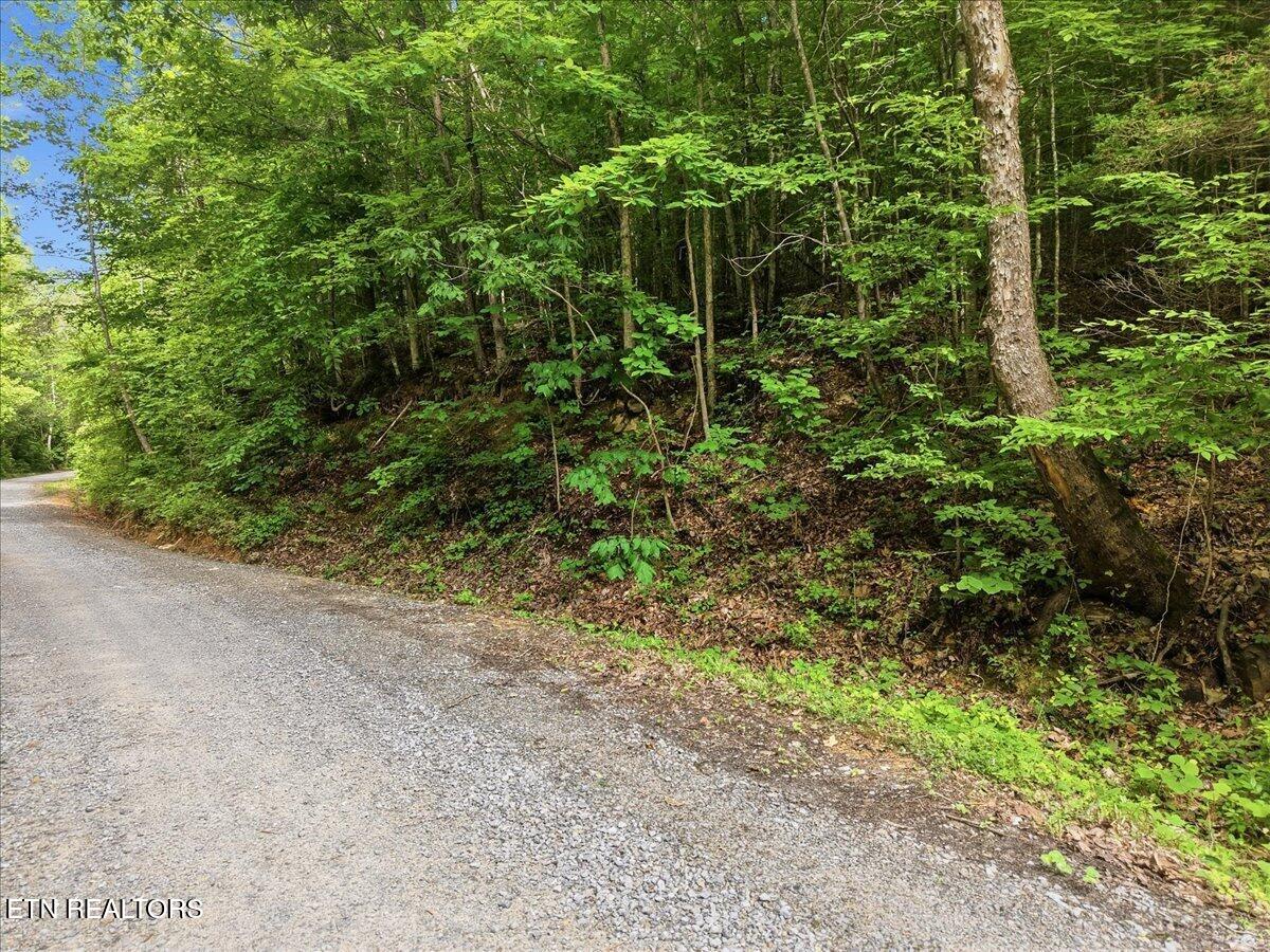 Whistle Valley Road New Tazewell TN 37825
