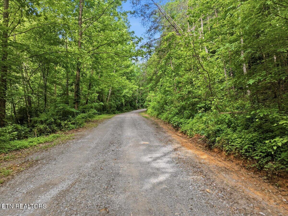 Whistle Valley Road New Tazewell TN 37825