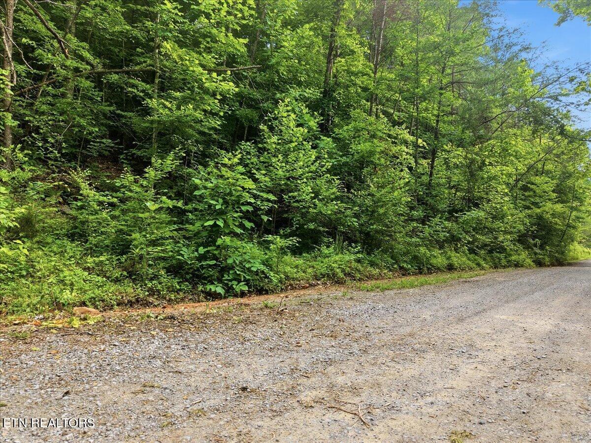 Whistle Valley Road New Tazewell TN 37825