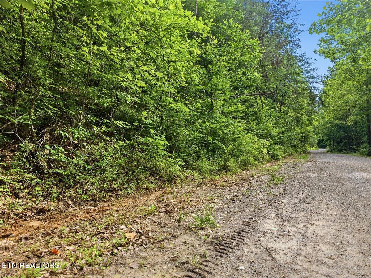 Whistle Valley Road New Tazewell TN 37825