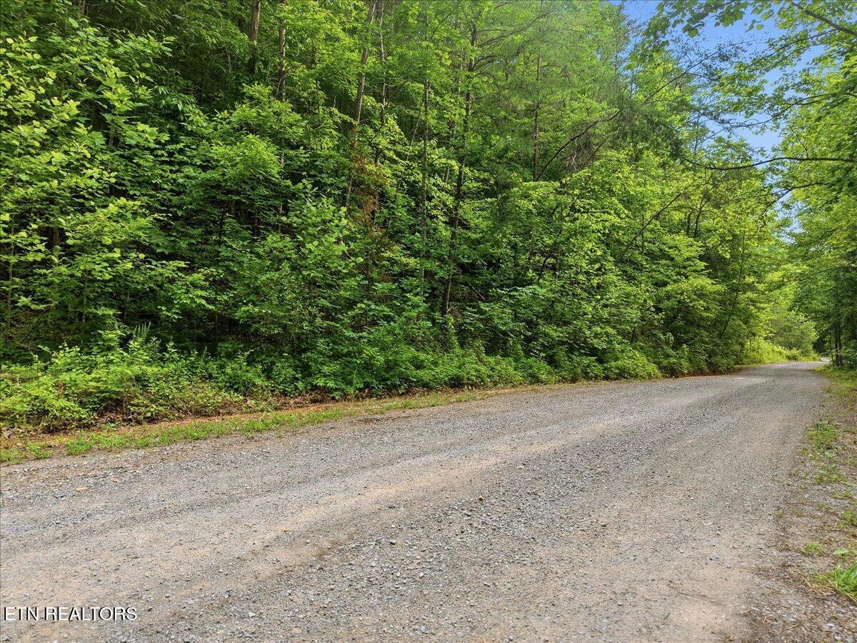 Whistle Valley Road New Tazewell TN 37825