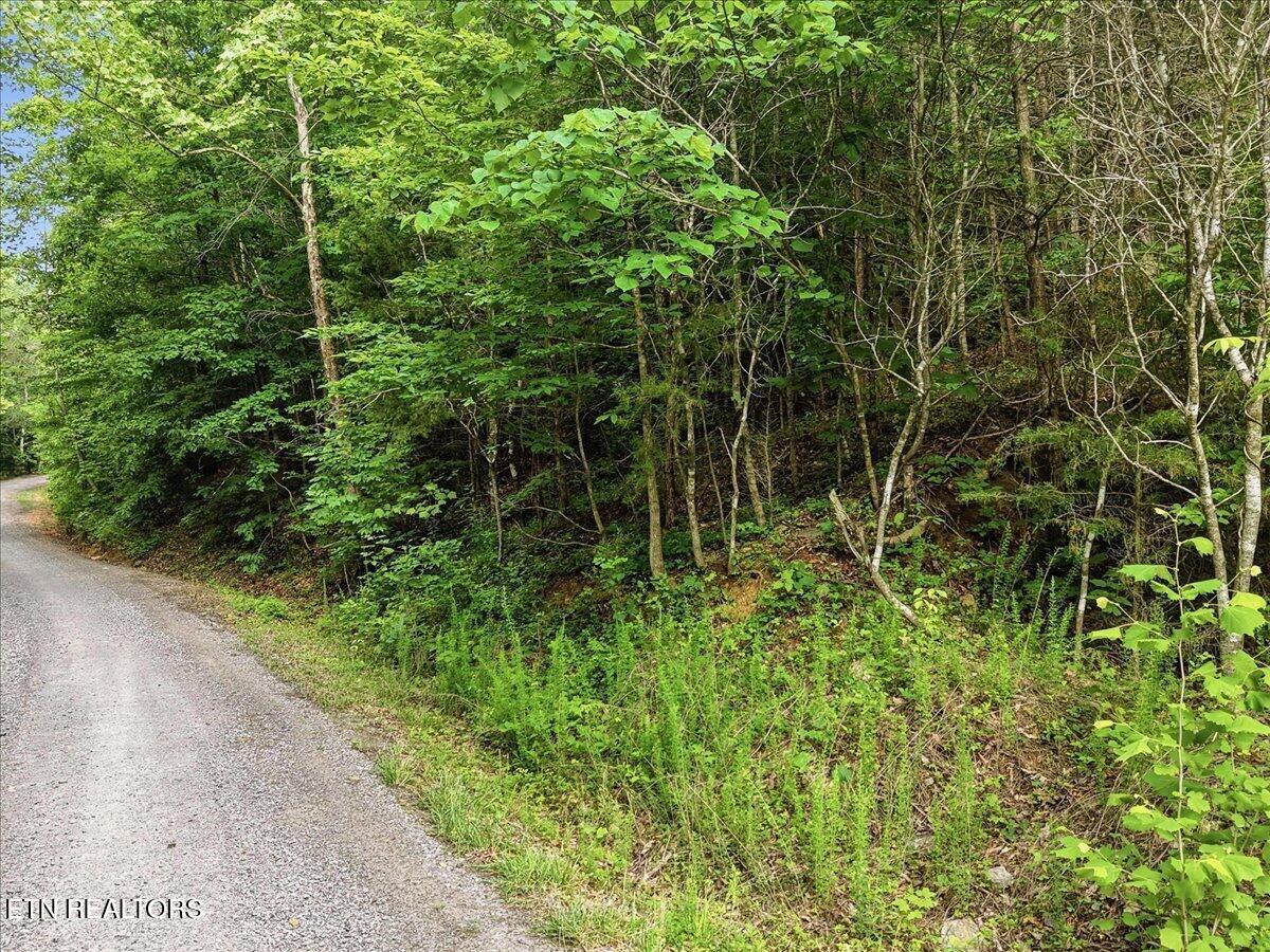 Whistle Valley Road New Tazewell TN 37825