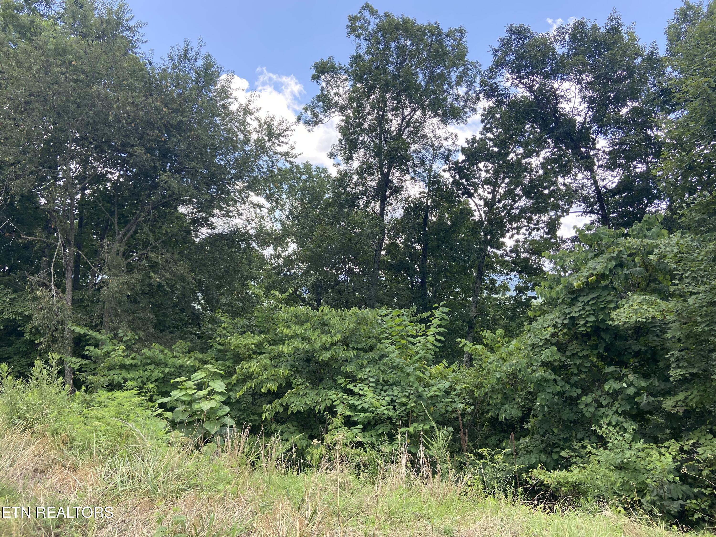 Whistle Valley Road New Tazewell TN 37825