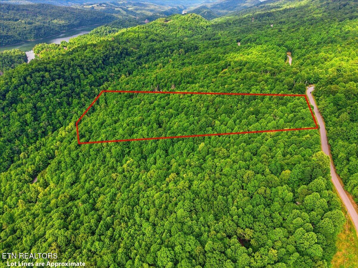 Whistle Valley Road New Tazewell TN 37825