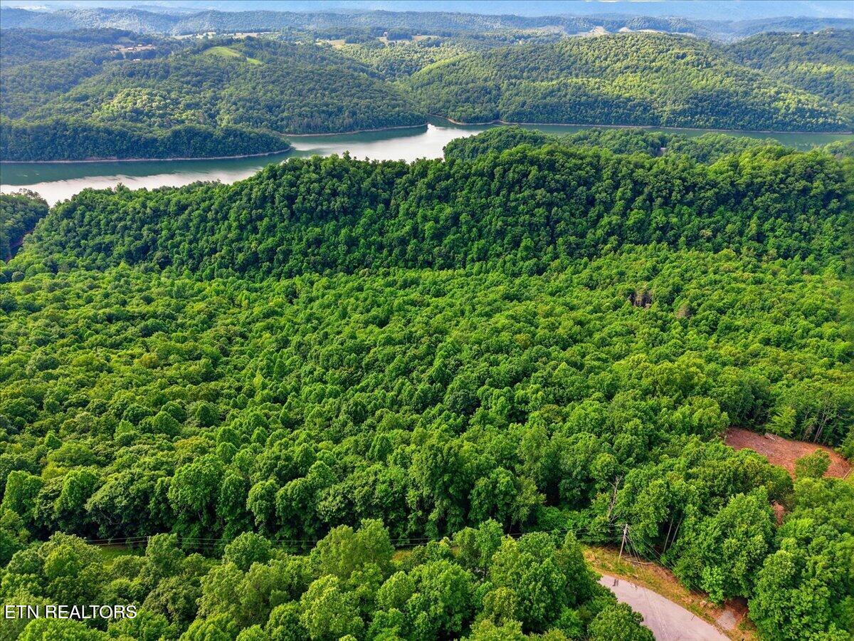 Whistle Valley Road New Tazewell TN 37825