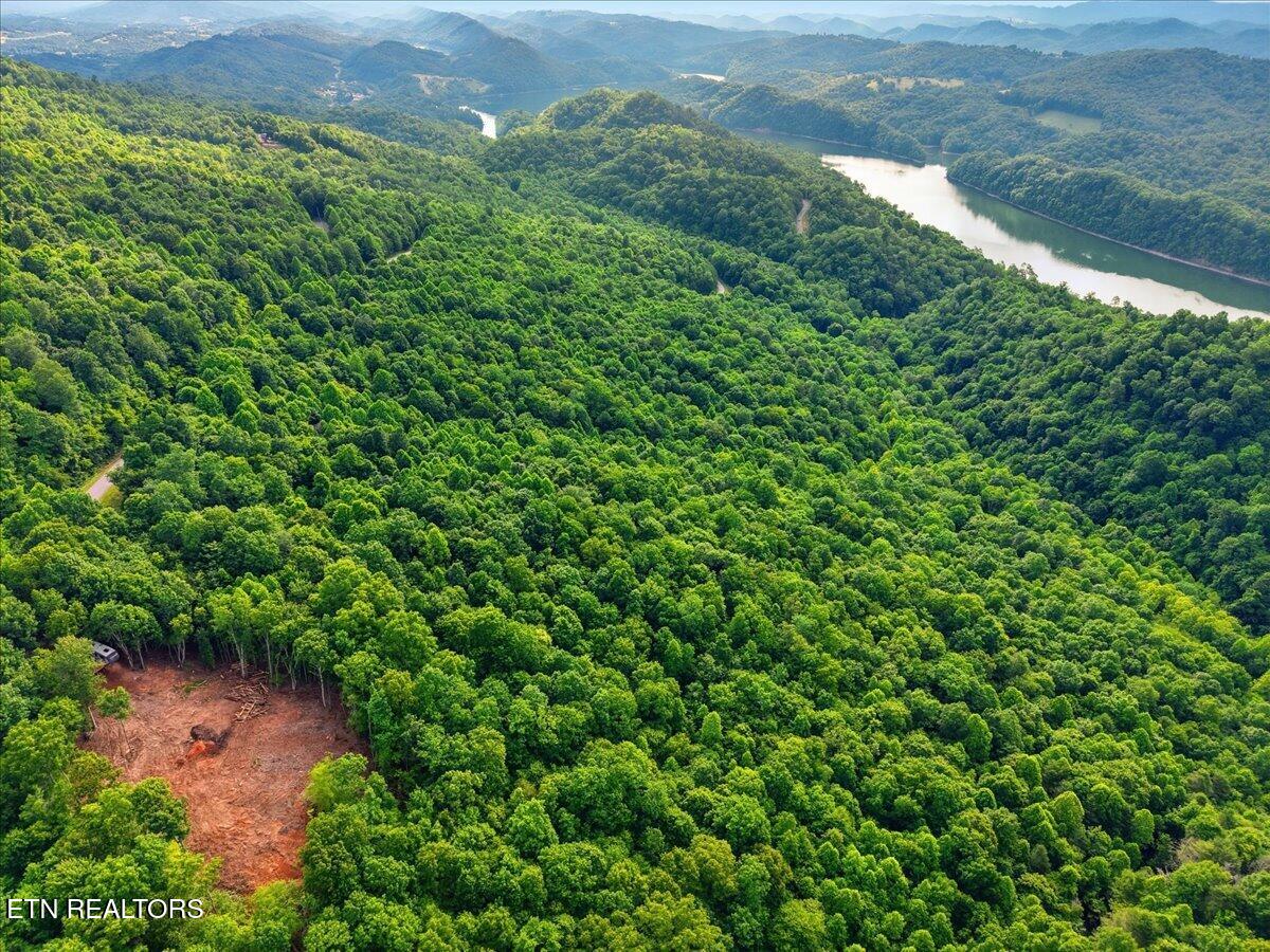Whistle Valley Road New Tazewell TN 37825