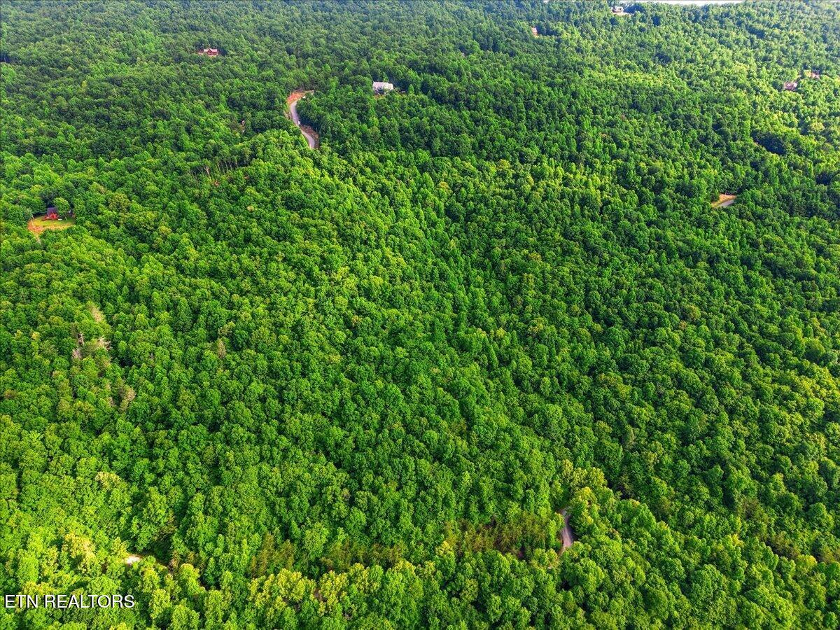 Whistle Valley Road New Tazewell TN 37825