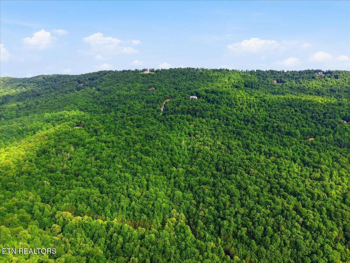 Whistle Valley Road New Tazewell TN 37825