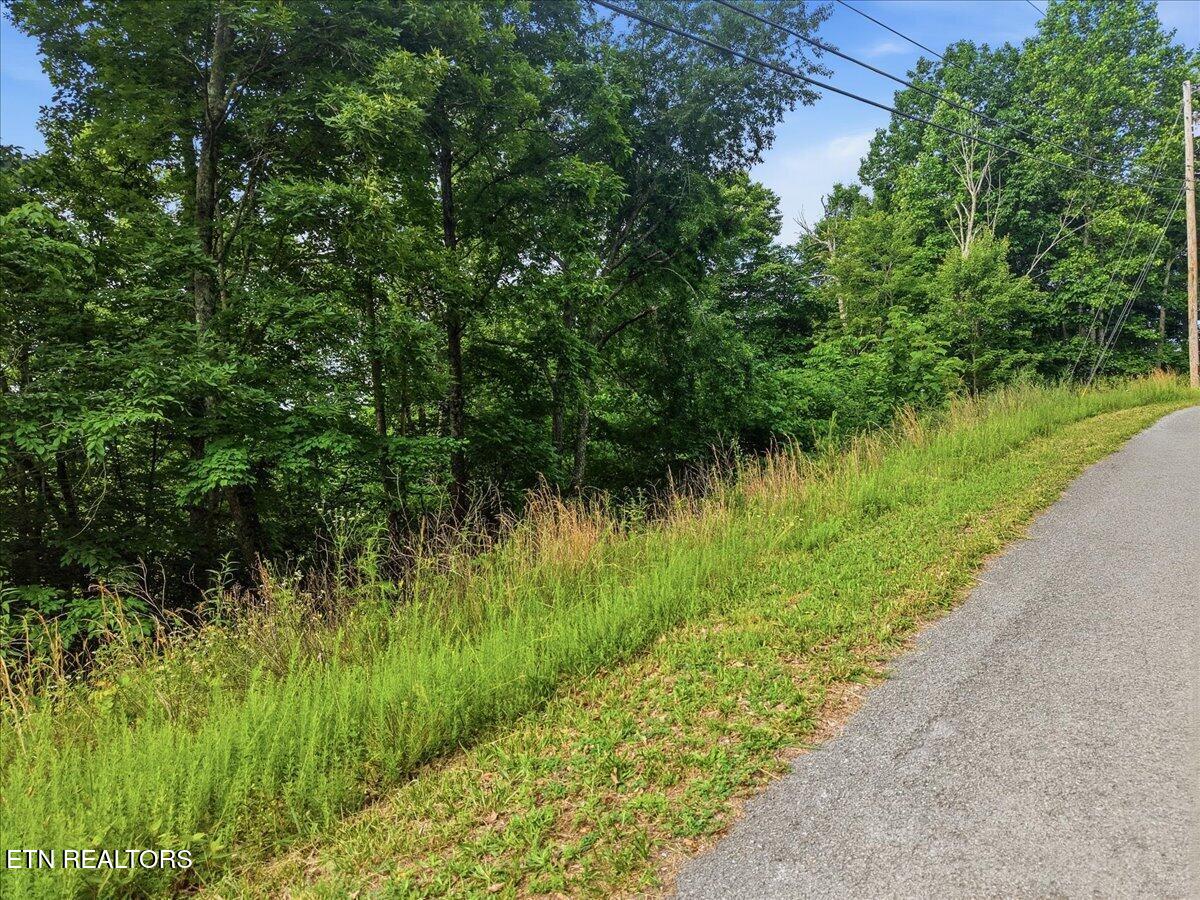 Whistle Valley Road New Tazewell TN 37825