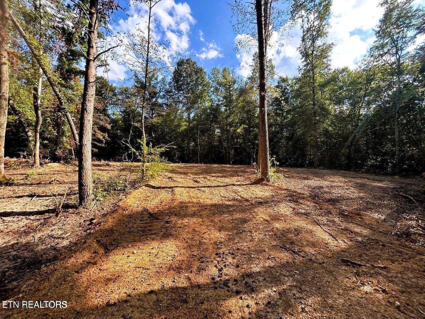 5.5 Acres Pleasant Hill Road Ten Mile TN 37880