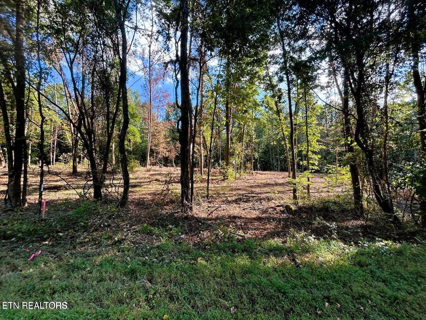 5.5 Acres Pleasant Hill Road Ten Mile TN 37880