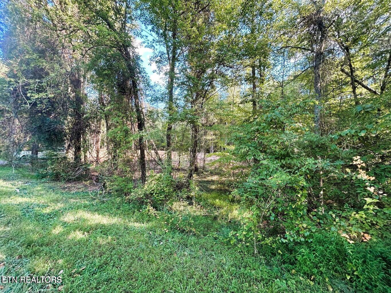 5.5 Acres Pleasant Hill Road Ten Mile TN 37880
