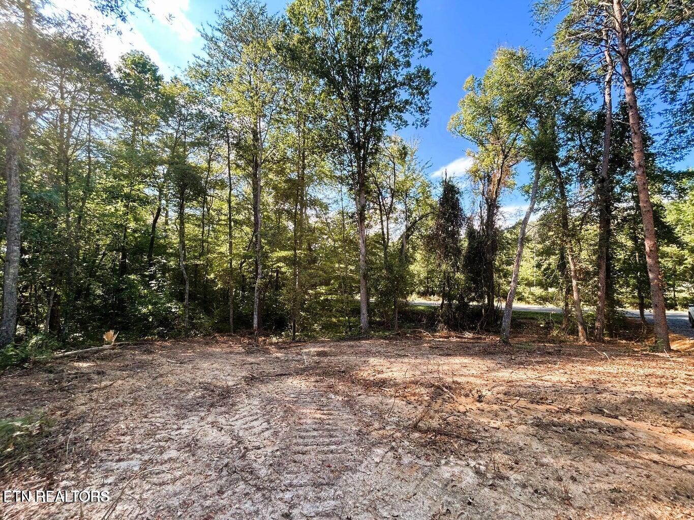 5.5 Acres Pleasant Hill Road Ten Mile TN 37880