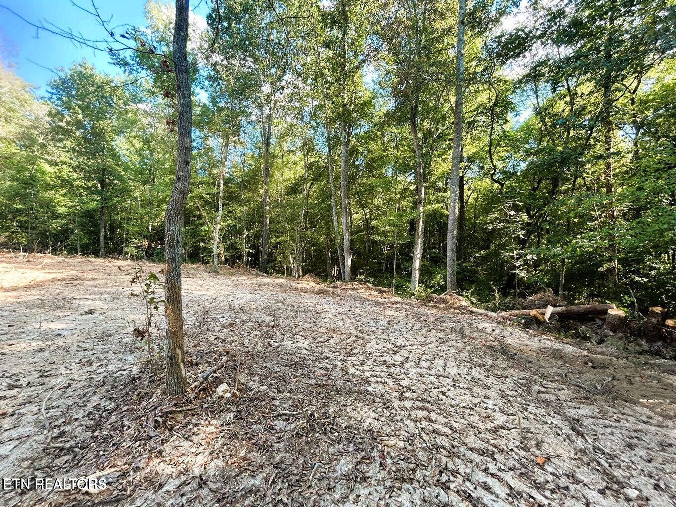 5.5 Acres Pleasant Hill Road Ten Mile TN 37880