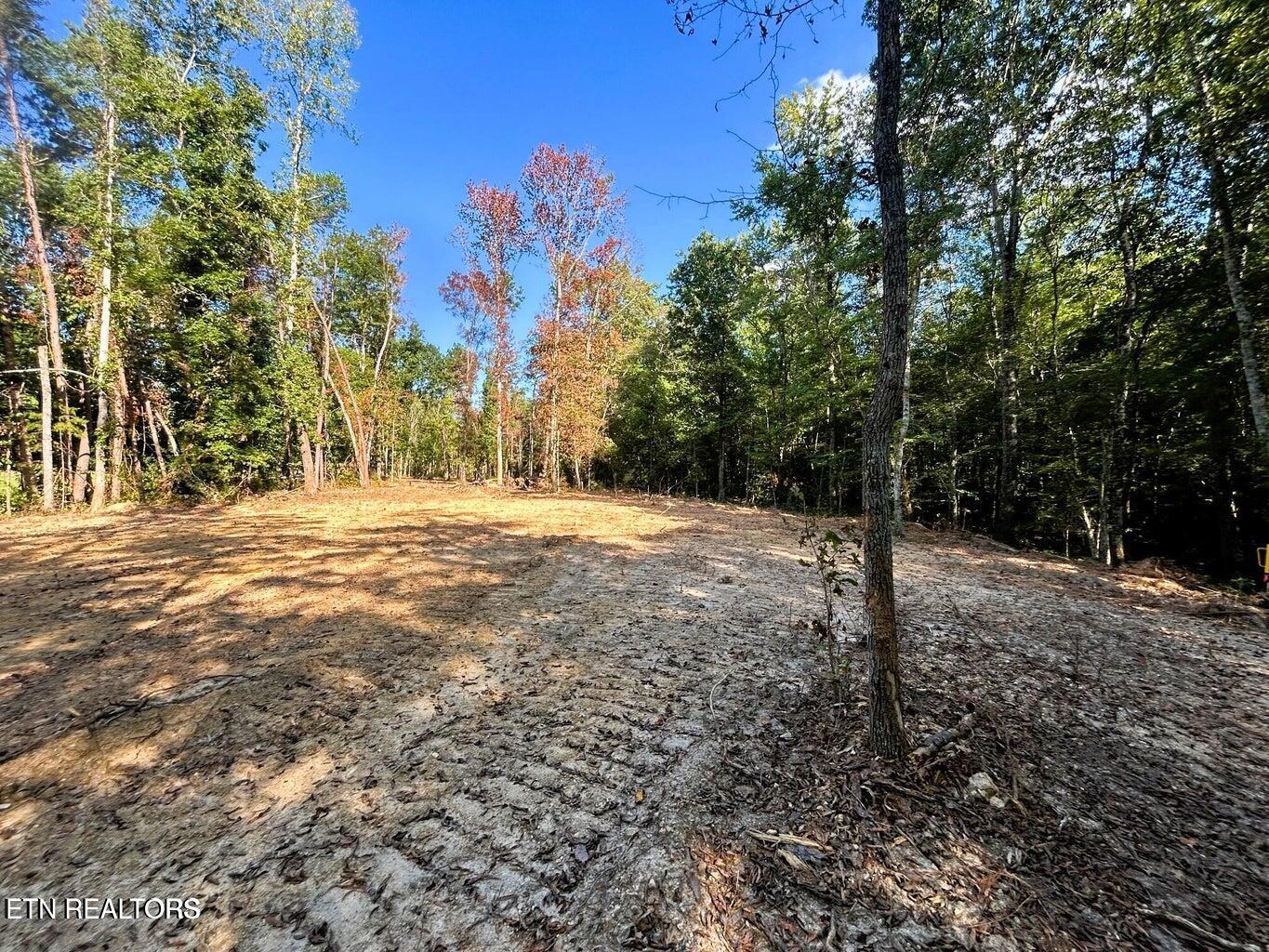 5.5 Acres Pleasant Hill Road Ten Mile TN 37880