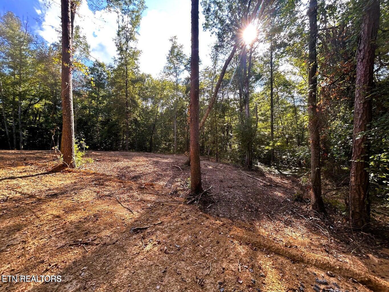 5.5 Acres Pleasant Hill Road Ten Mile TN 37880