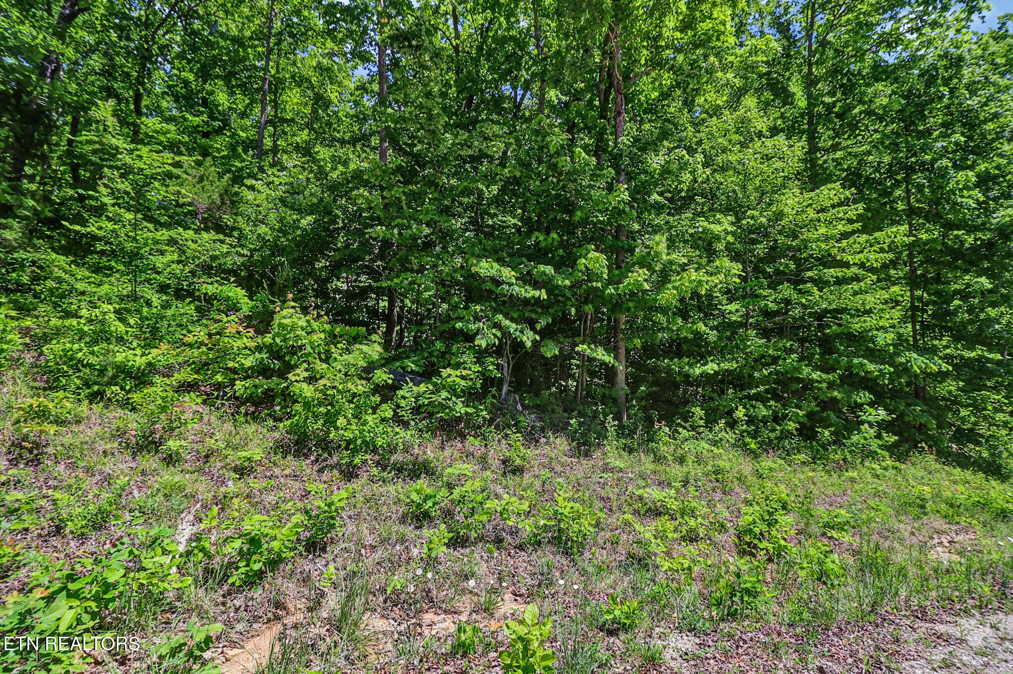 Junaluska Highway Jamestown TN 38556