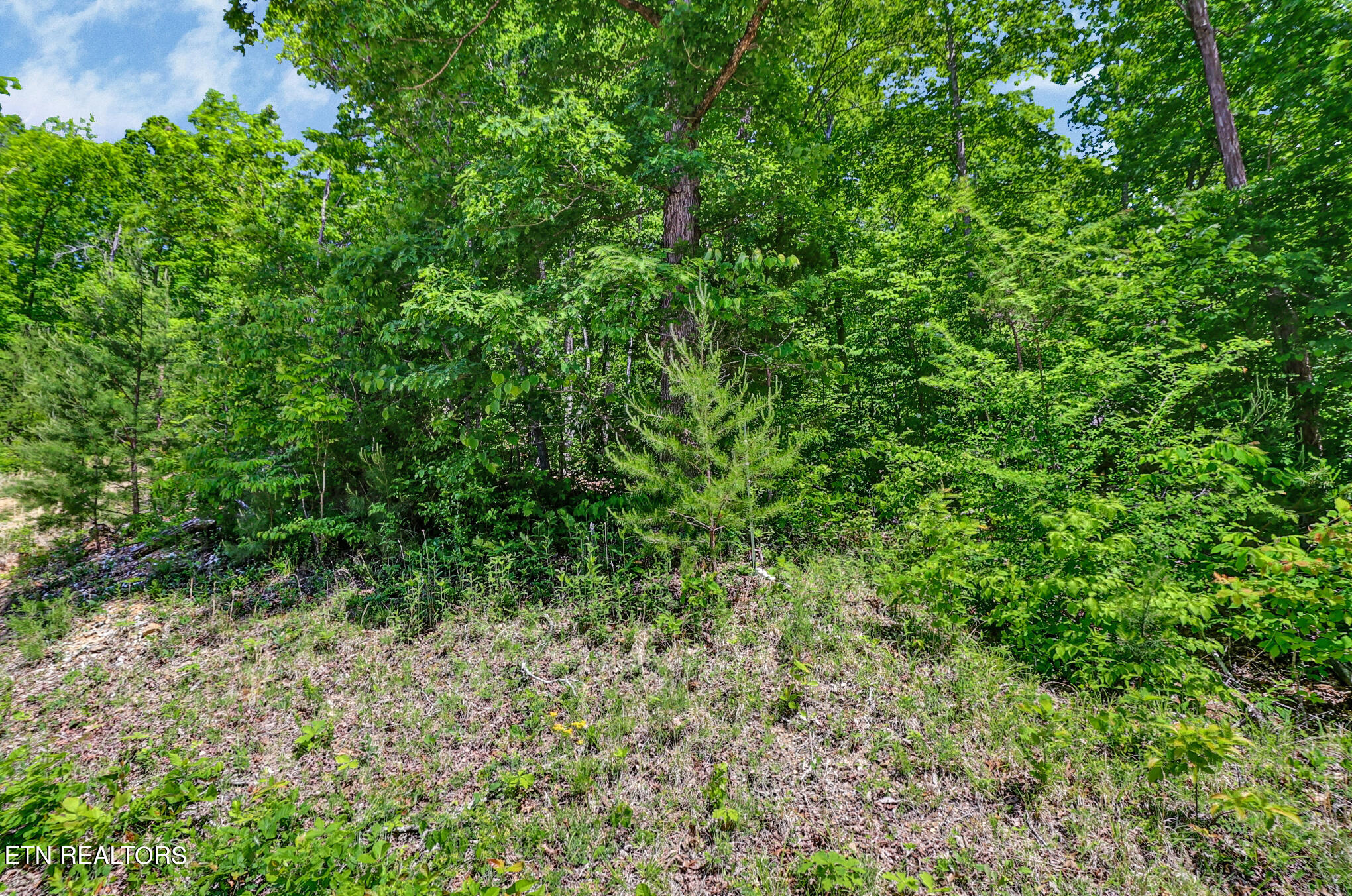 Junaluska Highway Jamestown TN 38556