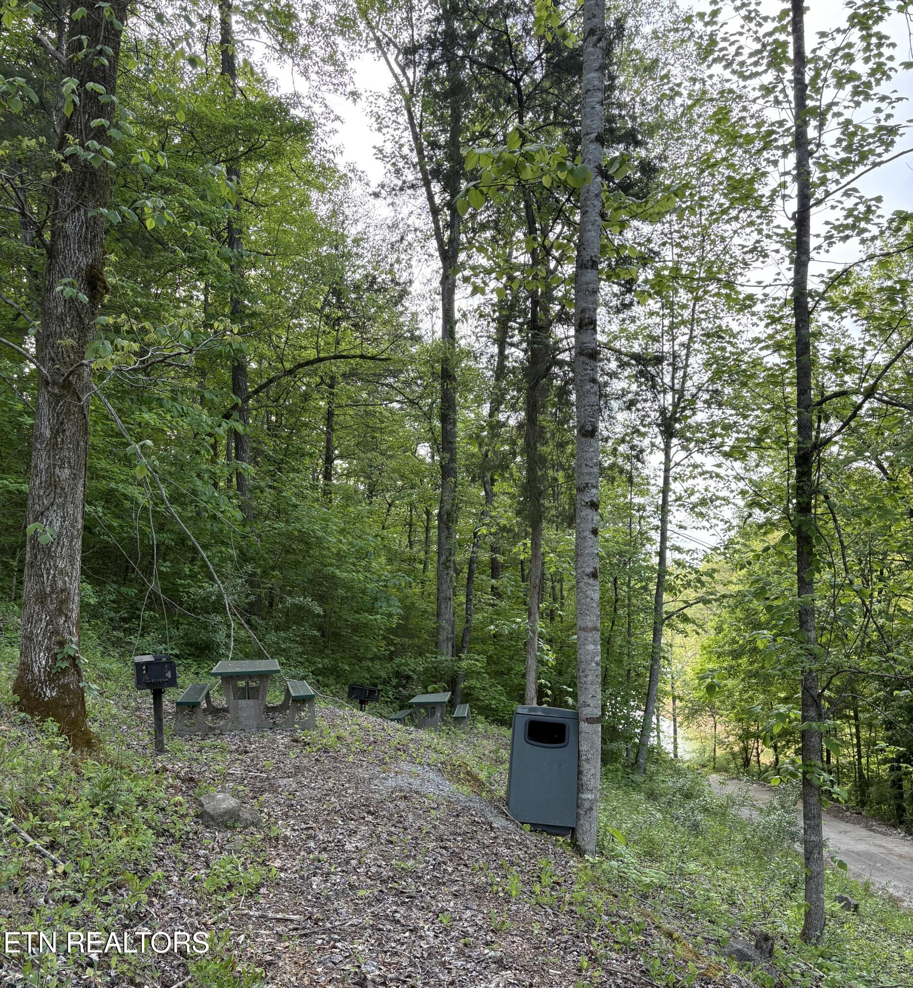 Lot 168 Saddleridge Drive Speedwell TN 37870