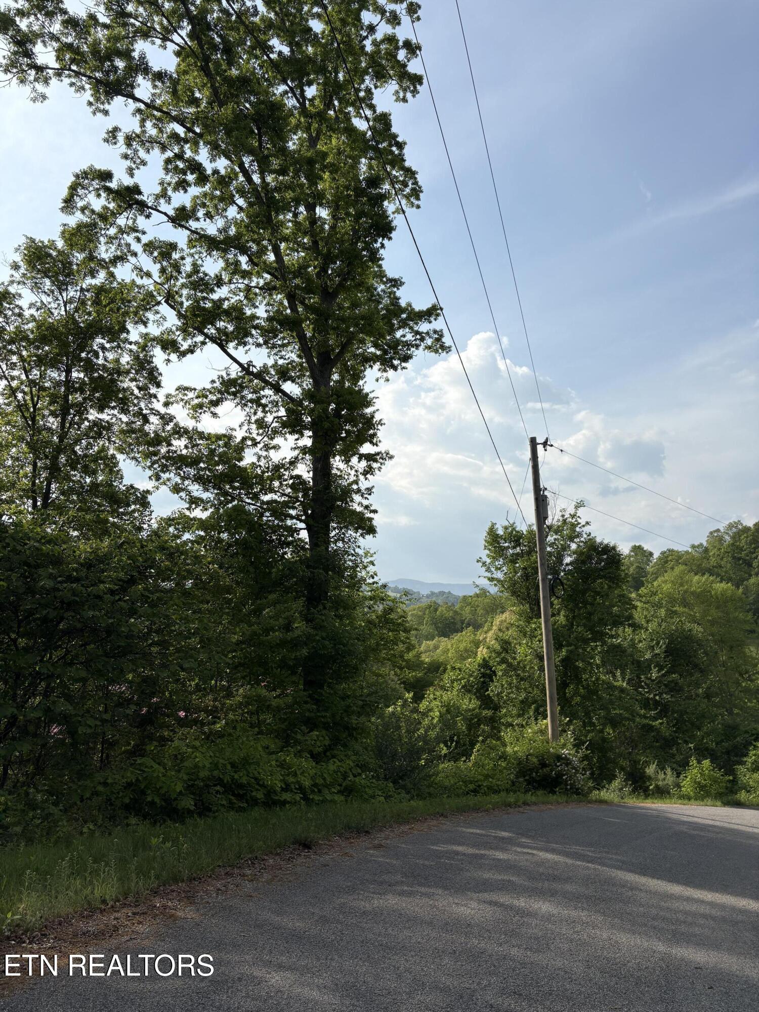 Lot 168 Saddleridge Drive Speedwell TN 37870