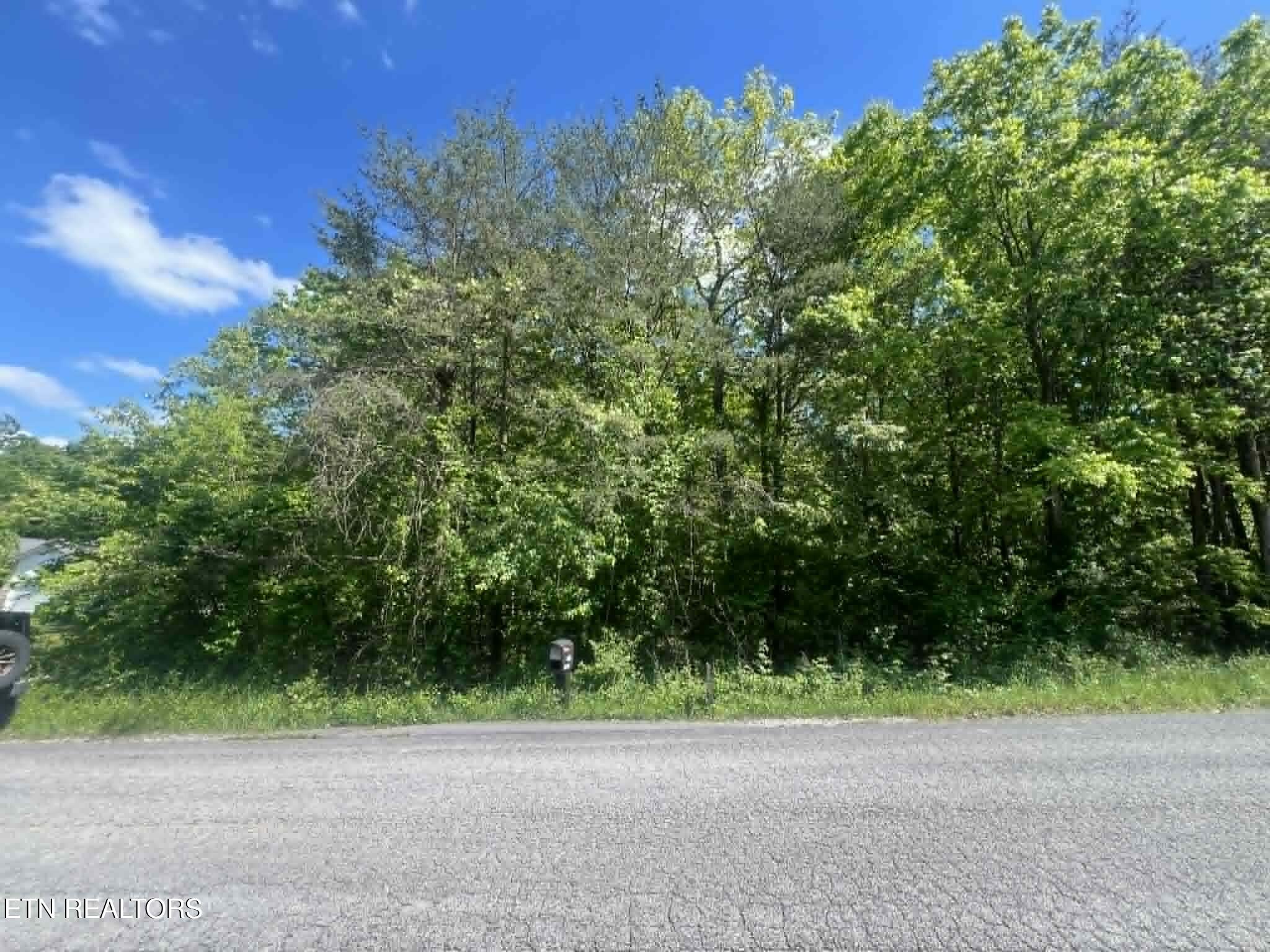 Lot 99 Scarlett Drive Crossville TN 38555