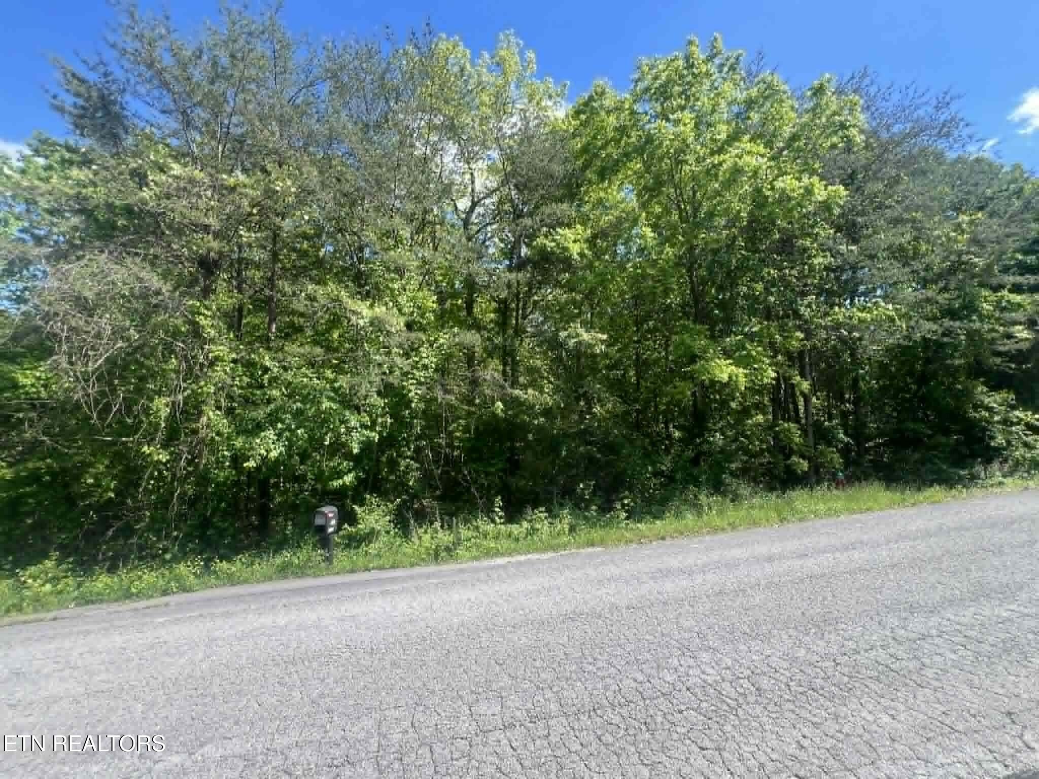 Lot 99 Scarlett Drive Crossville TN 38555
