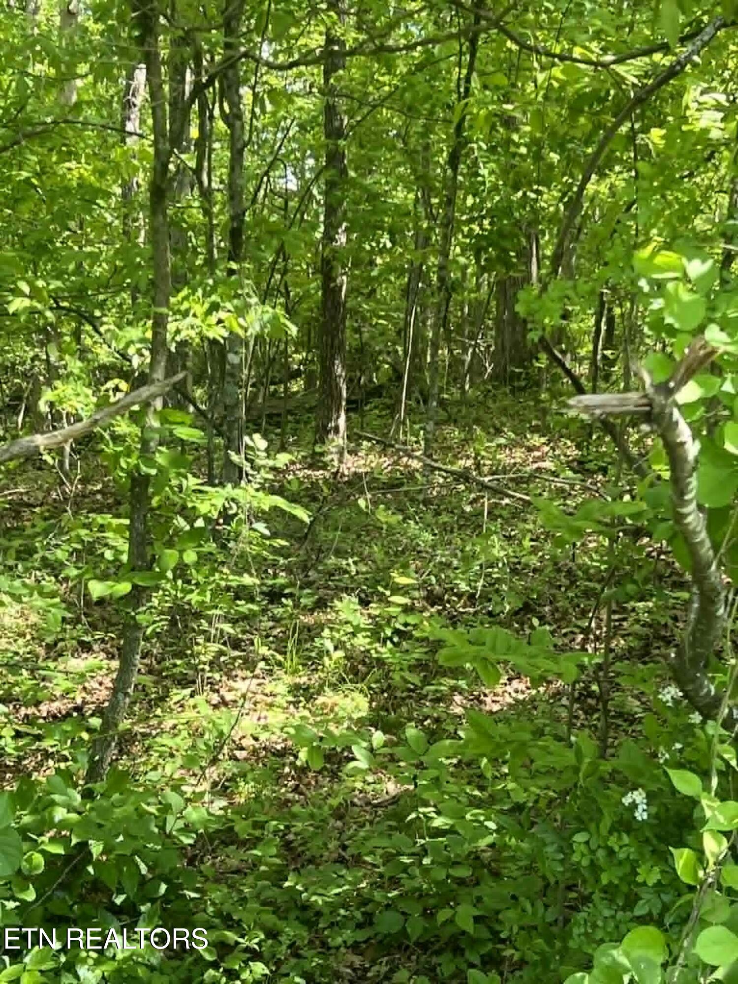 Lot 99 Scarlett Drive Crossville TN 38555