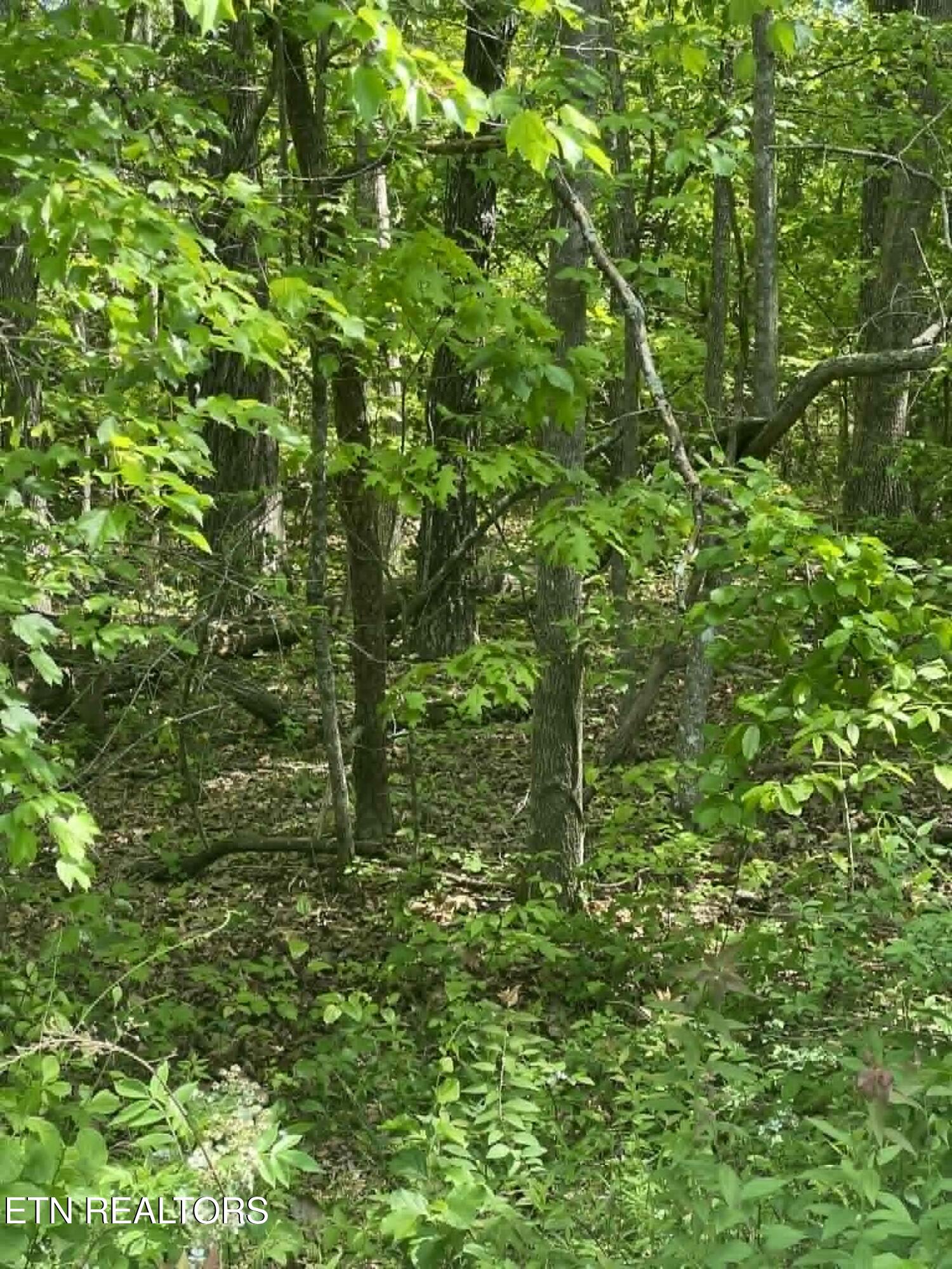 Lot 99 Scarlett Drive Crossville TN 38555