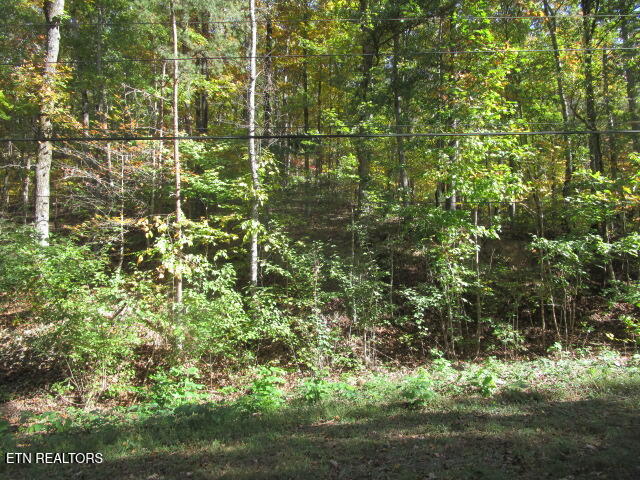 Long Acres Blaine TN 37709