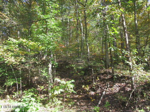 Long Acres Blaine TN 37709