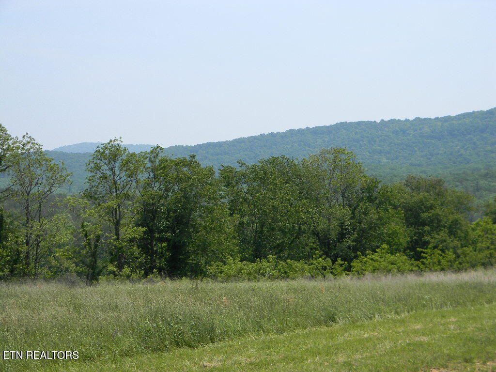 Houston Drive Crossville TN 38555