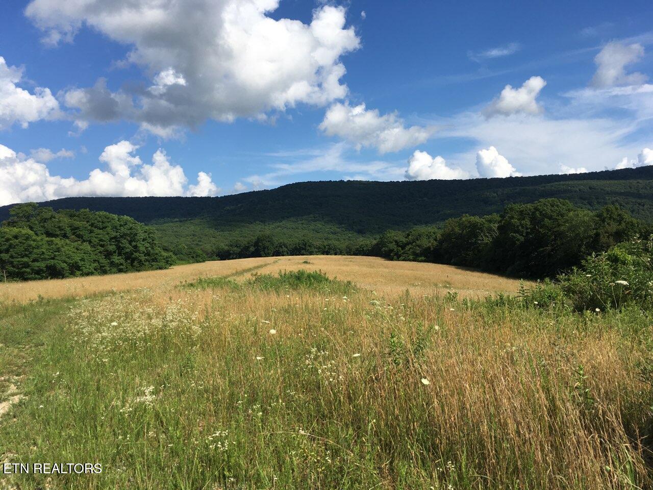 Houston Drive Crossville TN 38555