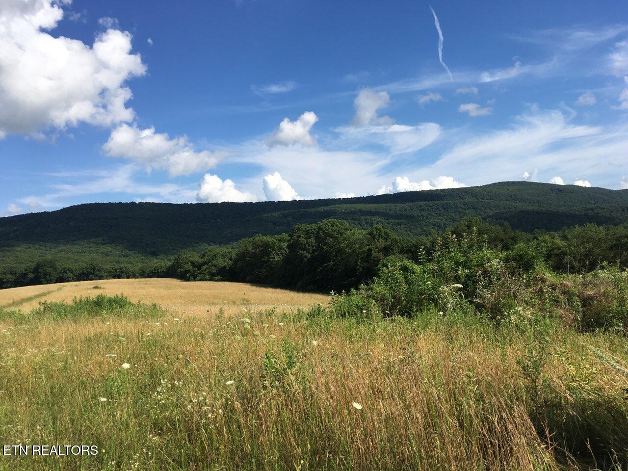 Houston Drive Crossville TN 38555